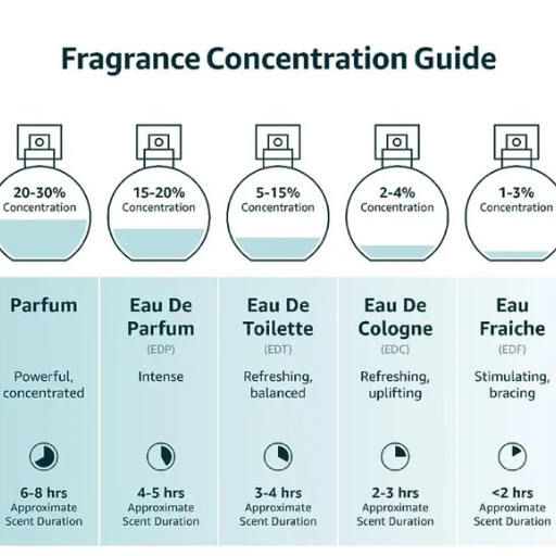 What are the different perfume concentrations, and how do they affect longevity