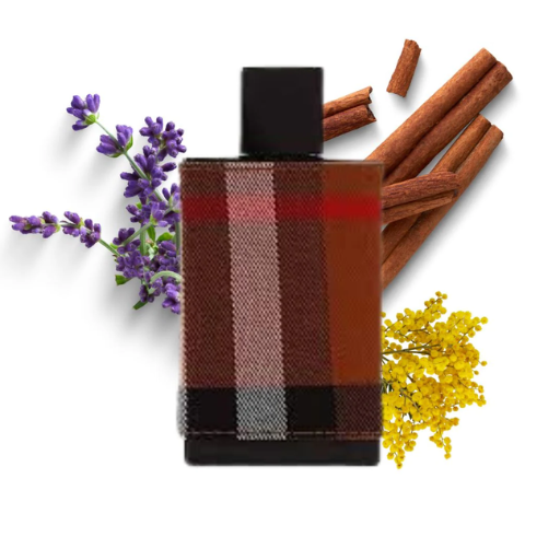 Recommendations for Colognes with Cinnamon Scents
