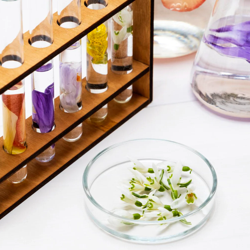 Raw Materials Sourcing