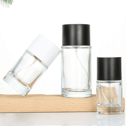 Future Directions in Authentication Processes